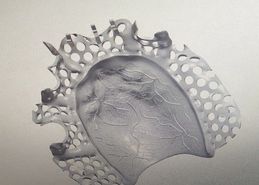 تصميم CAD من سبائك التيتانيوم إطار معدني لأطقم الأسنان الجزئية