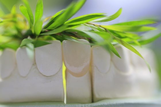 تاج الأسنان الزجاجي الطبيعي الدائم من السيراميك للأسنان الأمامية